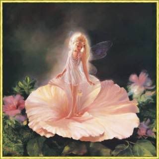 enchanted flower fairy Pictures, Images and Photos