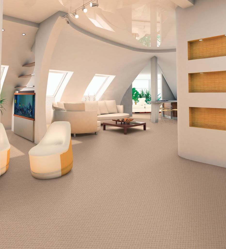 XpressEngine Dalton Discount Carpet Outlet Wilmington Oh