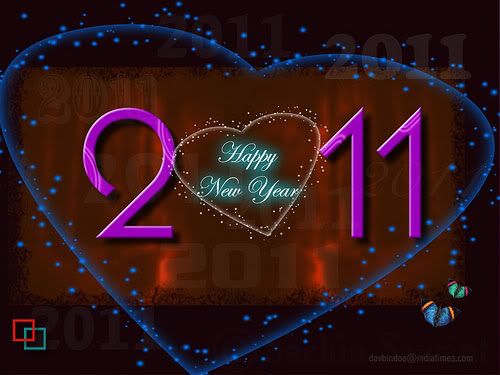 http://i910.photobucket.com/albums/ac302/nhudieulinh/happy_new_year_2011_3.jpg