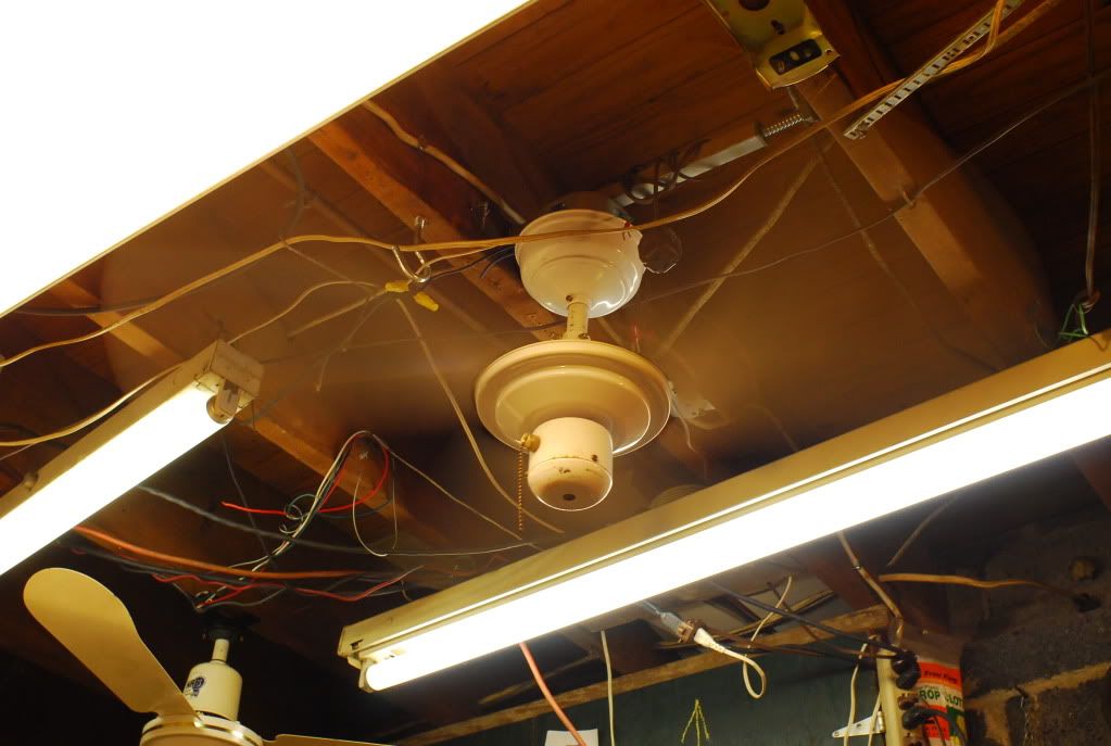 New Crap Vintage Ceiling Fans Com Forums