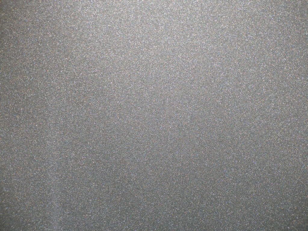 P1010125.jpg