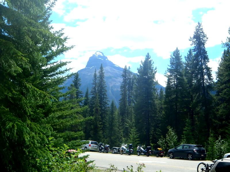 [Linked Image from i910.photobucket.com]