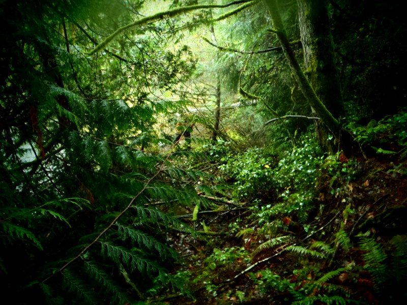 [Linked Image from i910.photobucket.com]