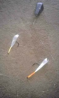 IMAG0211.jpg