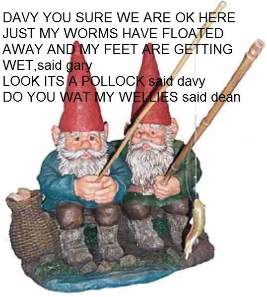 gnomes-1.jpg