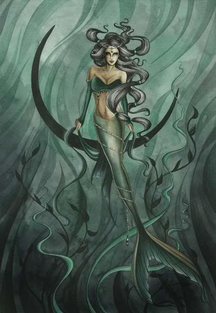 Mermaids Pictures, Images and Photos
