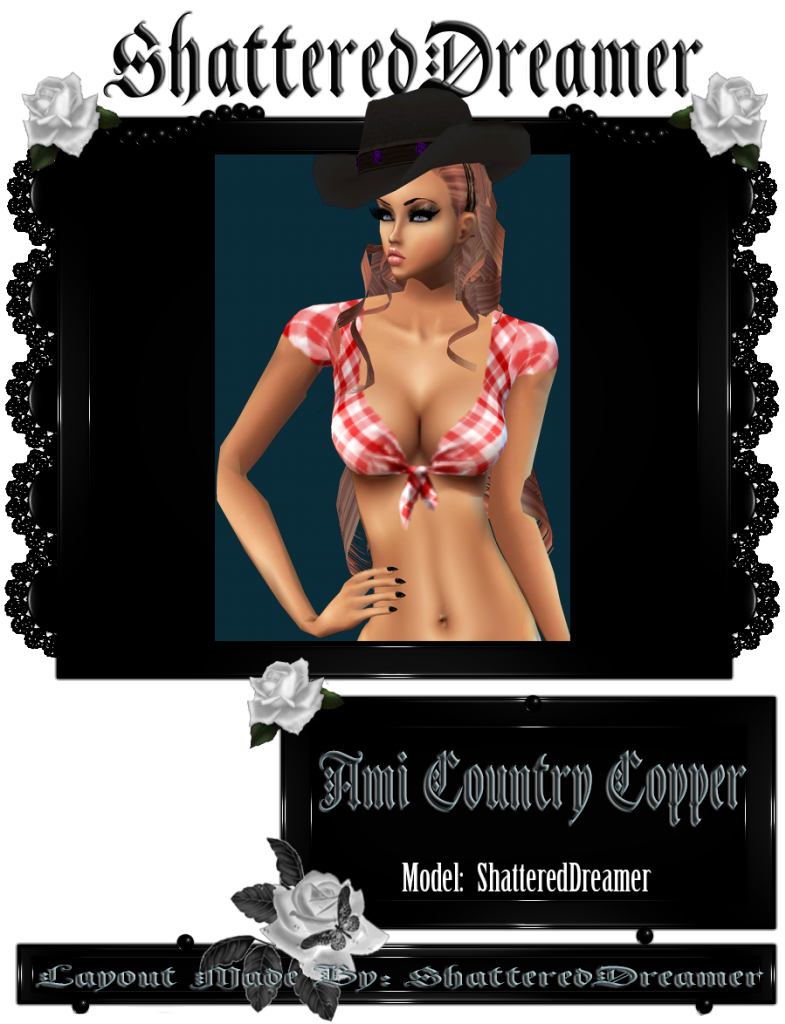  photo countrycopper_zps076b27bf.png