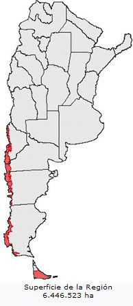 Bosque andino patagónico Bosque andino patagónico