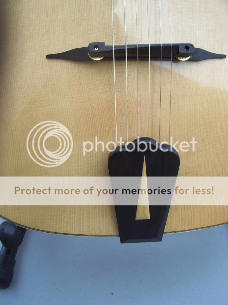 FS Century Strings Gypsy Jazz Archtop The Acoustic Guitar Forum