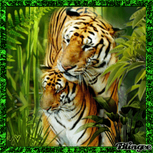 photo 809aa978-900a-4a6c-9dc8-06cb0f727b8a.png