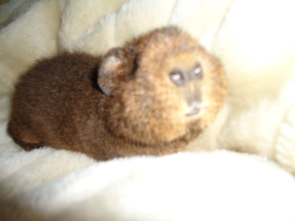 2010_06200236.jpg