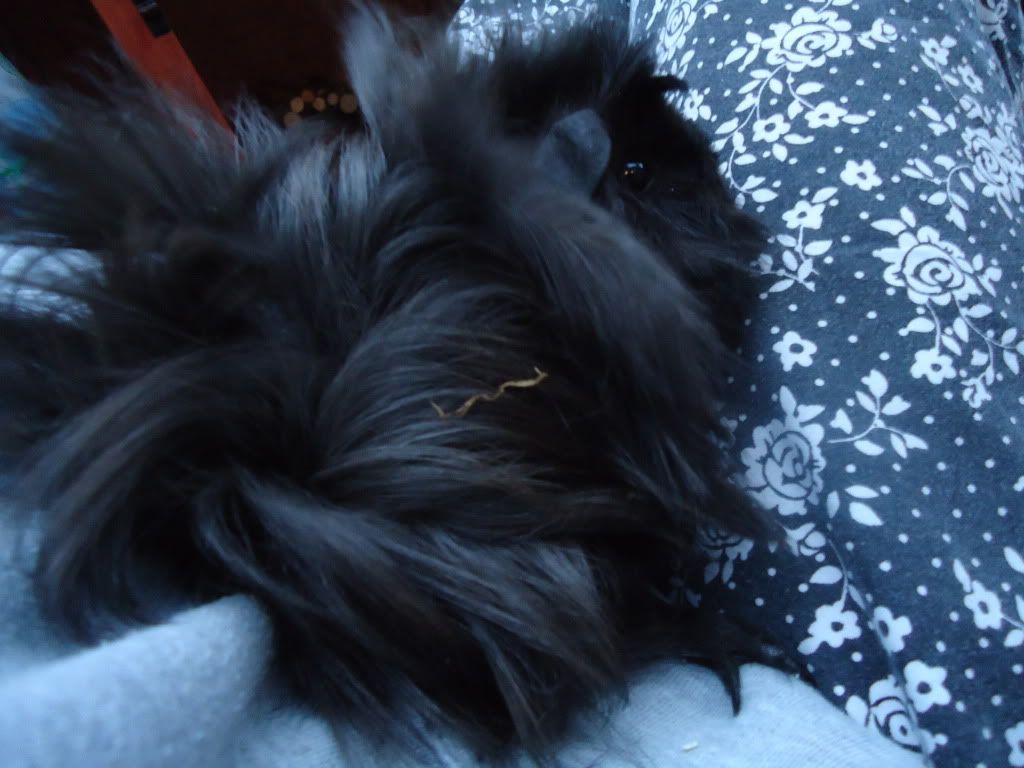 2010_06200281.jpg