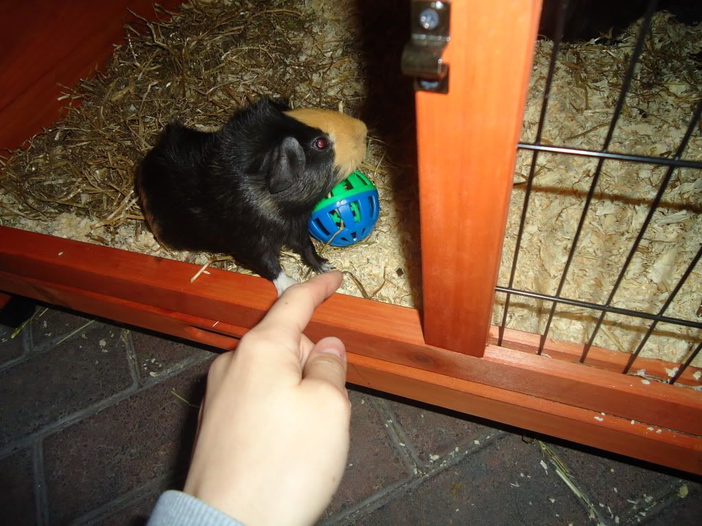 2010_06200293.jpg