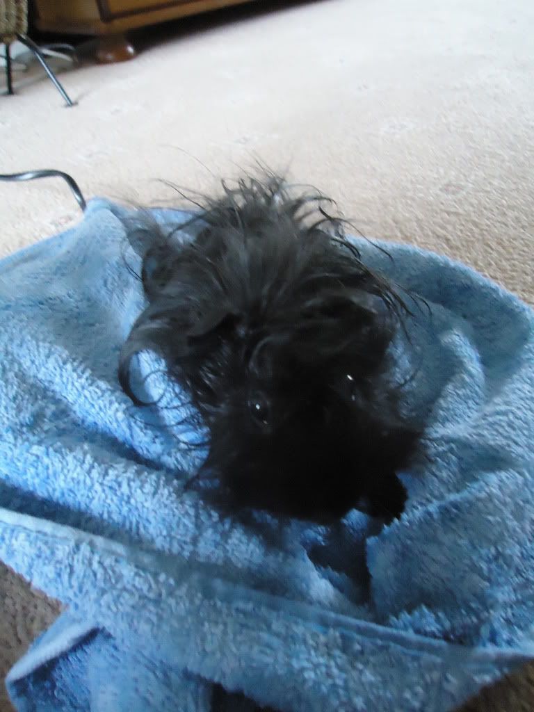 2010_08020031.jpg