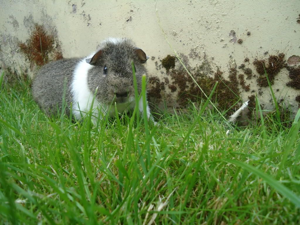 2010_08020074.jpg
