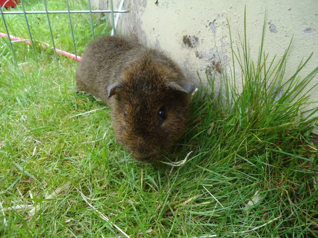 2010_08020091.jpg